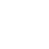 website-100